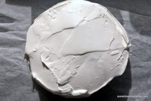 pavlova3