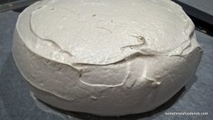 pavlova5