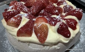 pavlova6